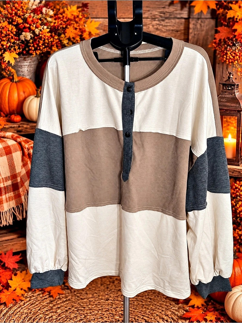 Color Block Long Sleeve Top Ivory Brown Size 4X New Without Tags